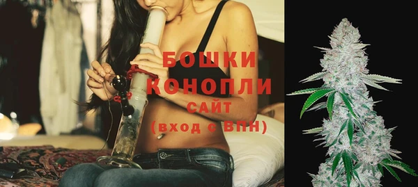 спайс Нягань