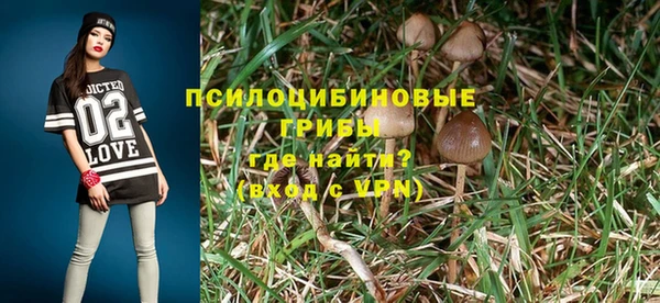 спайс Нягань