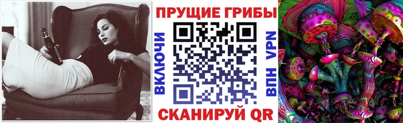 Псилоцибиновые грибы GOLDEN TEACHER  наркошоп  ОМГ ОМГ вход  Отрадное 